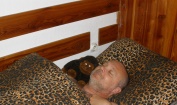 Image 31 - 